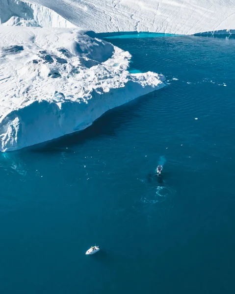 Knölval dykning nära små fiskebåt fartyg, båt, visar på dyket. Isberg med blått havsvatten. Grönland Disko Bay område nära ilulissat. — Stockfoto