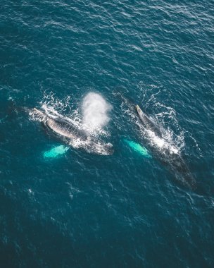 Grönland, Ilulissat 'ın Arktik şehrinin hava manzarası gün doğumunda sisle kaplandı. Kasabanın merkezinde renkli evler, yaz aylarında arka planda buzdağları, turuncu pembe ve güneşli bir günde.