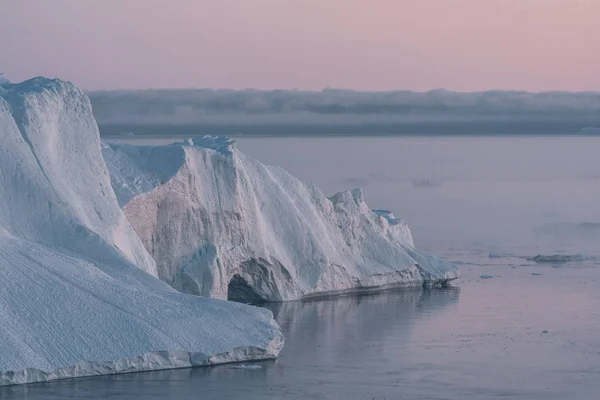3 Bultrug Walvis duiken in de buurt van Ilulissat tussen ijsbergen tijdens roze middernacht zon. Zonsopkomst en zonsondergang. Hun bron is bij de Jakobshavn gletsjer. De bron van ijsbergen is een opwarming van de aarde en catastrofaal — Stockfoto