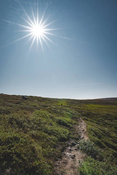 Arctic landscape of Disko Bay in Greeland in Summer. Sunstar on a Blue Sky and green meadows. Arctic Circle Trail with temple mountains. Disko Island and Village of Qeqertarsuaq. — 스톡 사진