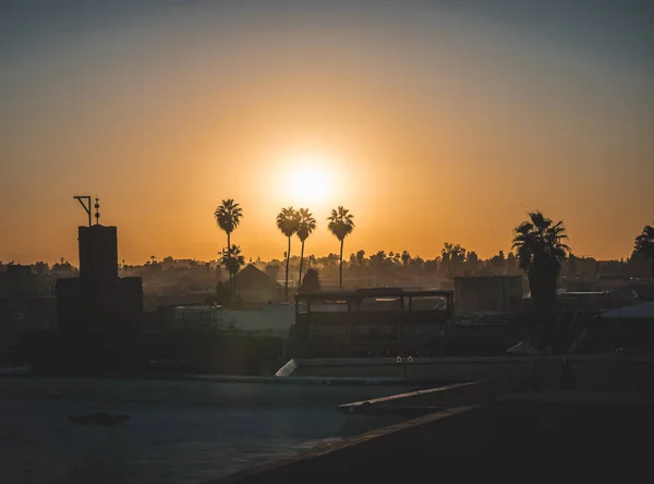 Nascer do sol sobre o palmeiral em Marraquexe, Marrocos. Palmeraie - silhueta de palmeiras com sol atrás. Verão fotos conceito de viagem na África. — Fotografia de Stock