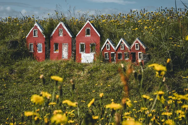 Тріо маленьких будинків червоних ельфів Hulduf lk з дахами з дерну в Ісландії. Зелена трава з жовтими квітами.. — стокове фото