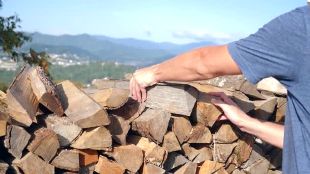 Wood, Stack of Wood per un inverno gelido, per accendere un camino in uno chalet. sullo sfondo delle montagne. 4k, rallenta. copia spazio — Video Stock