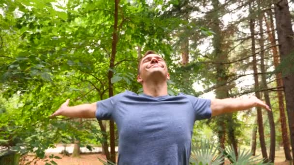 Giovane bell'uomo passeggiare nel bosco, godersi la natura, 4k primo piano, riprese al rallentatore — Video Stock