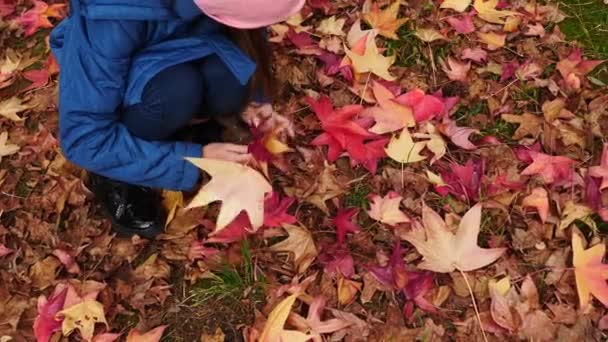 女孩正在收集五颜六色的叶子作为花束。秋天的时间。4k、慢动作 — 图库视频影像