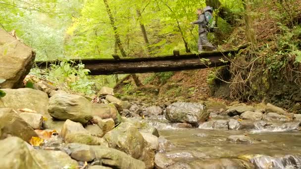 Manliga turist korsar en mountain river i en skog längs ett fallna träd. Äventyr och extrema turism, övervinna hinder. 4k — Stockvideo
