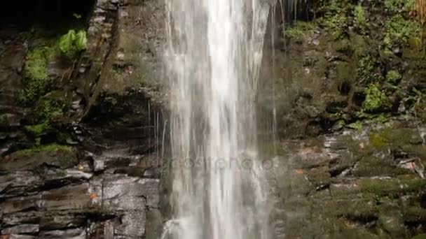 Close-up. Waterfall forest stones stream. 4k. — Stock Video