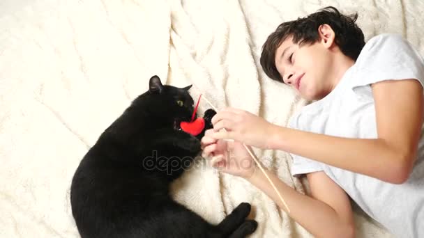 En svart katt leker med en leksak hjärta. 4k, slowmotion. pojke som leker med en katt — Stockvideo