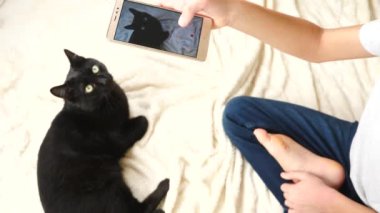 çocuk onun smartphone üzerinde siyah bir kedi çekiyor. Evcil hayvan. kedi. 4k, ağır çekim