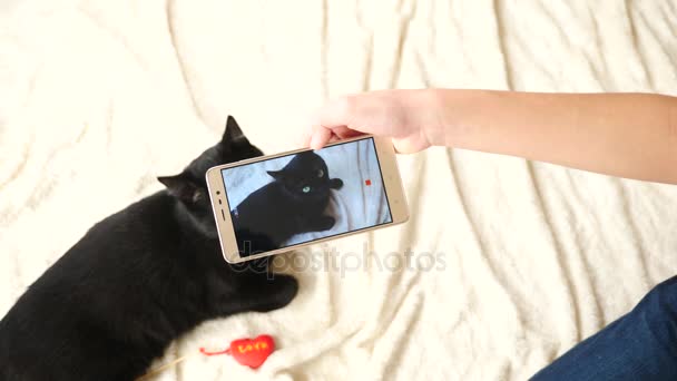 O menino tira fotos de um gato preto em seu smartphone. Animais de estimação. Gato. 4k, câmera lenta — Vídeo de Stock