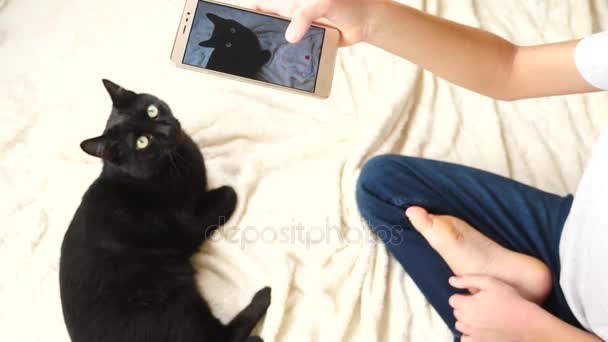 Мальчик фотографирует черного кота на своем смартфоне. домашних животных. Кот. 4k, slow-motion — стоковое видео