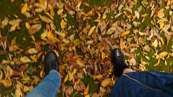 Vue d'en haut, les jambes de la mère et de la fille en chaussures noires longeant les feuilles tombées à l'automne. Mouvement lent 4k — Video