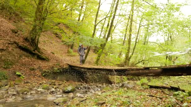 Um turista masculino cruza um rio de montanha em uma floresta ao longo de uma árvore caída. Aventuras e turismo extremo, superando obstáculos. 4k — Vídeo de Stock