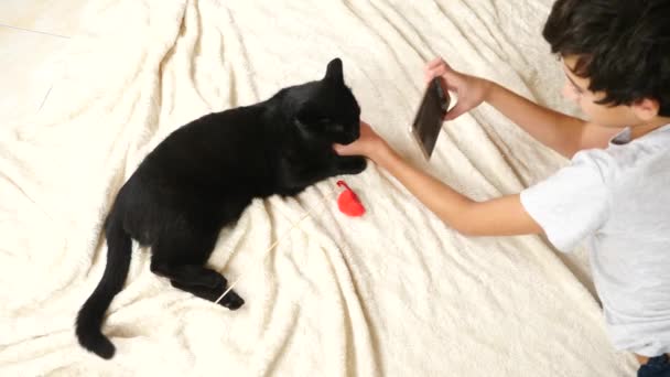 video černé kočičky