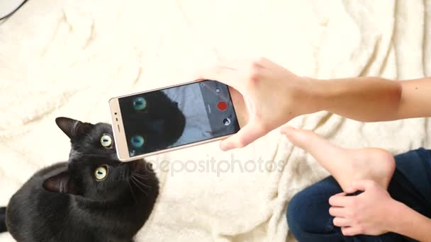 Chlapec se fotí černé kočky na svém smartphonu. Domácí zvířata. kočka. 4k, pomalý pohyb — Stock video