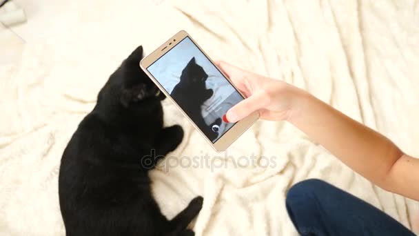 A fiú, aki egy fekete macska képe a smartphone. háziállat. macska. 4k, lassú mozgás — Stock videók