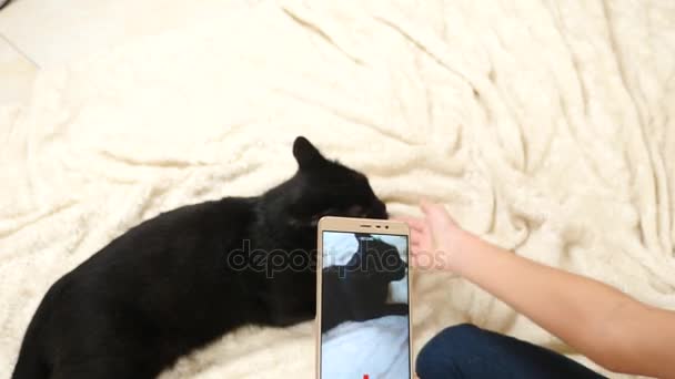 El niño toma fotos de un gato negro en su teléfono inteligente. mascotas. gato. 4k, cámara lenta — Vídeo de stock