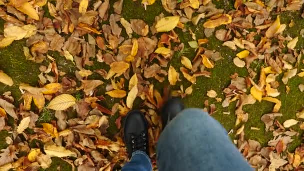 Pemandangan dari atas, kaki dalam sepatu bot hitam berjalan di sepanjang daun jatuh musim gugur. Gerakan Perlahan 4k — Stok Video