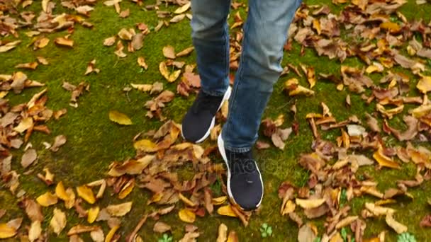 Pohled shora, nohy chodit po podzimní spadané listí. 4 k Zpomalený pohyb — Stock video