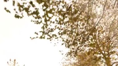 4k, ağır çekim. Arabayı yoldan görünümünü. yol kenarındaki dağ yolu, serpantin