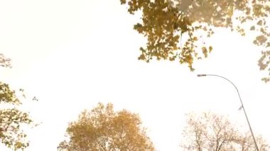 4k, ağır çekim. Arabayı yoldan görünümünü. yol kenarındaki dağ yolu, serpantin