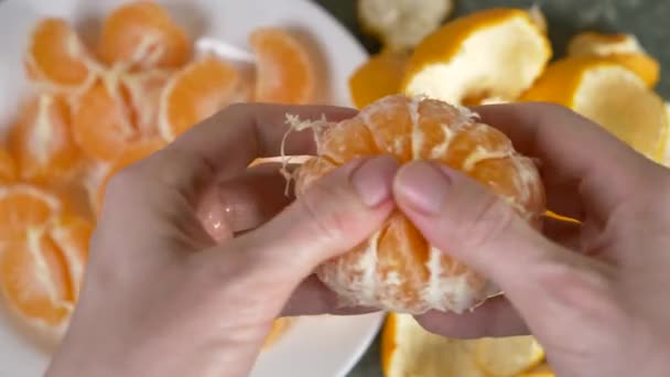 Dámské ruce loupat kůra mandarinky, mandarinkové řezy jsou srovnány na hromádce v misce. 4k, pomalý pohyb — Stock video