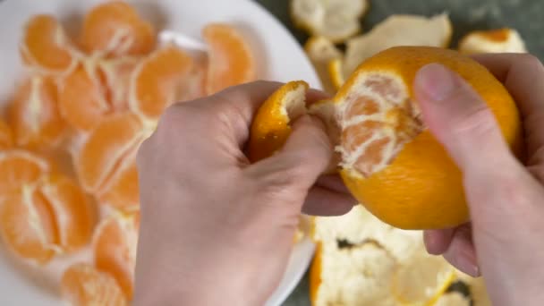 Las manos de las mujeres pelan la cáscara de mandarinas, rebanadas de mandarina se apilan en un tazón. 4k, cámara lenta — Vídeo de stock