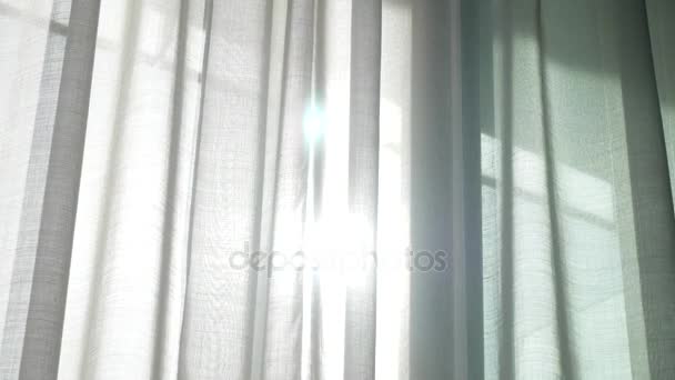 Uma cortina transparente na janela, movida suavemente pelo vento. luz solar. 4k — Vídeo de Stock