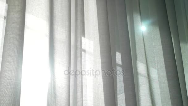 Průhledný závěs na okno, jemně posune větrem. sluneční světlo. 4k — Stock video