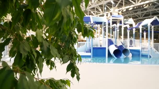 Розкішний курортний басейн з красивою чистою блакитною водою. 4k. Тропічні дерева в курортному басейні — стокове відео