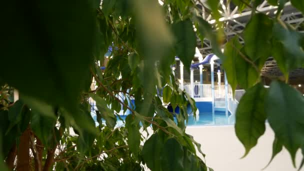 Piscina resort di lusso con bella acqua pulita blu. 4k. Alberi tropicali nella piscina del resort — Video Stock