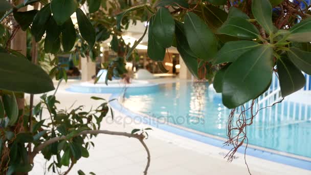 Piscina de lujo con hermosa agua azul limpia. 4k. Árboles tropicales en la piscina del resort — Vídeo de stock