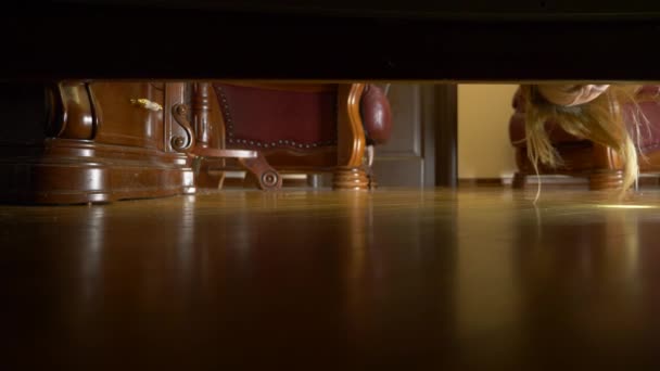 4k, Slowmotion, kijk onder het bed. Een vrouw met een zaklamp is op zoek naar iets onder het bed. — Stockvideo