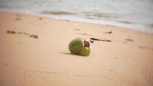Kokosnuss am Strand. Die Wellen bewegen die Kokosnuss an einem tropischen Strand. Nahaufnahme. 4k, — Stockvideo