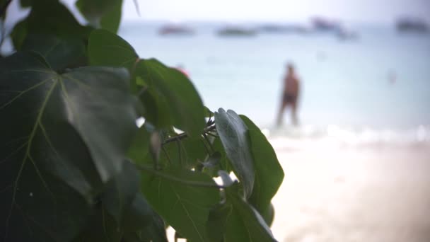 Overvolle zand strand tafereel met onherkenbaar toeristische mensen. vervagen, 4k, slow-motion — Stockvideo