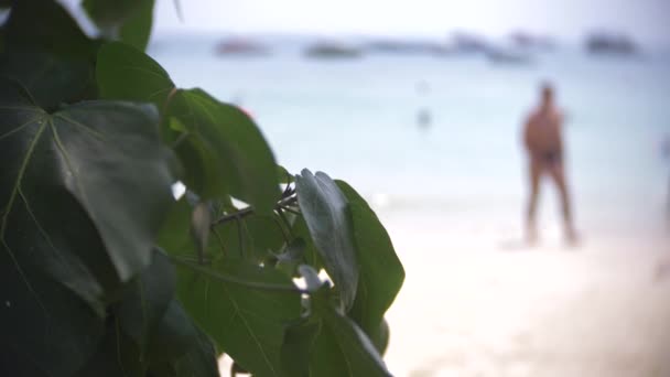 Escena de playa de arena llena de gente turística irreconocible. desenfoque, 4k, cámara lenta — Vídeos de Stock