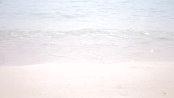 Soft waves of the sea on a sandy beach close-up. transparent water and white sand — Stock Video