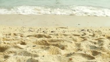 çıplak ayak tropikal kumlu bir plaj üzerinde dinlenme yoldan geçenler tarafından turist. 4k,