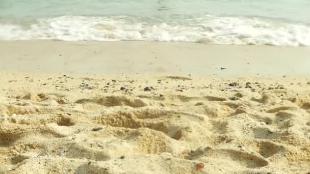Pés descalços de turistas transeuntes que estão descansando em uma praia de areia tropical. 4k , — Vídeo de Stock