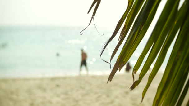 Spiaggia di sabbia affollata scena con turisti irriconoscibili. sfocatura, 4k, rallentatore — Video Stock