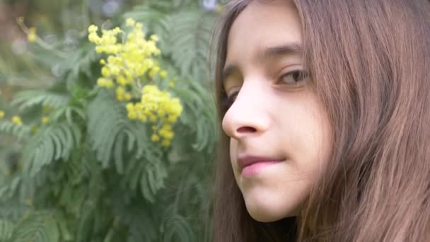 Retrato. Hermosa adolescente en un árbol mimosa floreciente fondo. niña huele flores de mimosa. 4k, cámara lenta — Vídeos de Stock