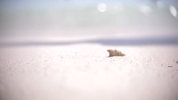 Bare feet of passers-by tourists who are resting on a tropical sandy beach. 4k, — Stock Video