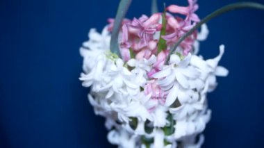 renkli bir arka plan üzerinde beyaz ve pembe sümbül. 4k,