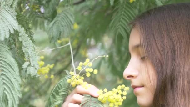 Retrato. Hermosa adolescente en un árbol mimosa floreciente fondo. niña huele flores de mimosa. 4k, cámara lenta — Vídeo de stock