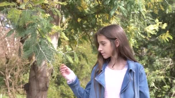 Retrato. Hermosa adolescente en un árbol mimosa floreciente fondo. niña huele flores de mimosa. 4k, cámara lenta — Vídeo de stock