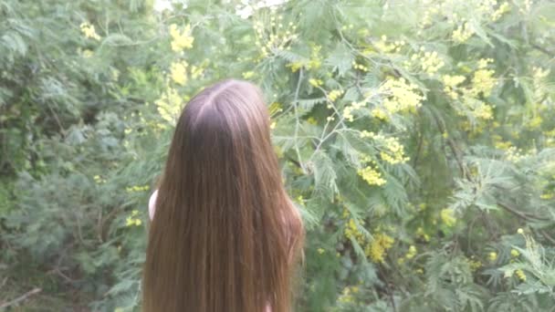 Adolescente menina endireita seu cabelo longo. Ela está ao pé da árvore mimosa florida. 4k, câmera lenta — Vídeo de Stock