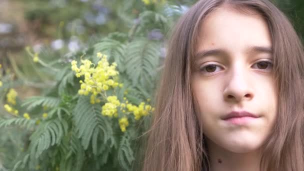 Retrato. Menina adolescente bonita em um fundo árvore mimosa florescendo. 4k, câmera lenta — Vídeo de Stock