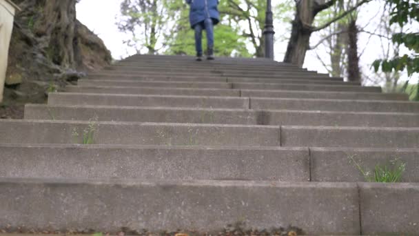 Primer plano de las piernas femeninas en zapatos negros que bajan las escaleras, cámara lenta, tiro de ángulo bajo, 4k — Vídeos de Stock