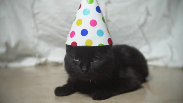 Сонный чёрный кот с гирляндой в праздничной кепке. 4k. Медленное движение — стоковое видео