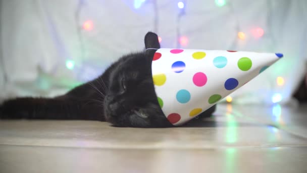 Un gato negro soñoliento con una guirnalda en una gorra festiva. 4k. Movimiento lento — Vídeos de Stock